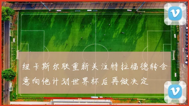 纽卡斯尔联重新关注特拉福德转会意向他计划世界杯后再做决定