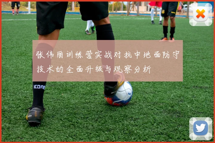 张伟丽训练营实战对抗中地面防守技术的全面升级与观察分析